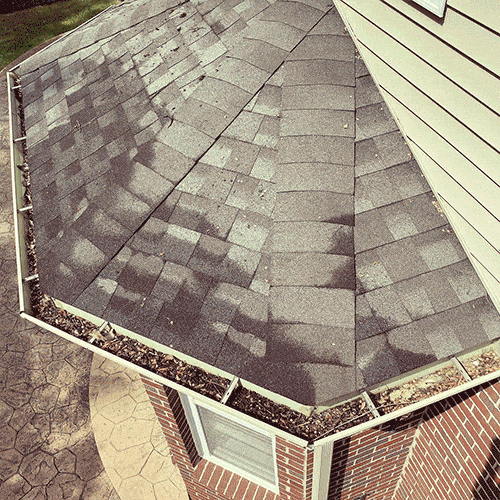 Gutter Cleaning Before and After