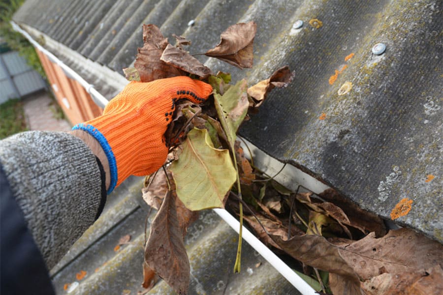 Gutter Cleaning Service in Berkley MI