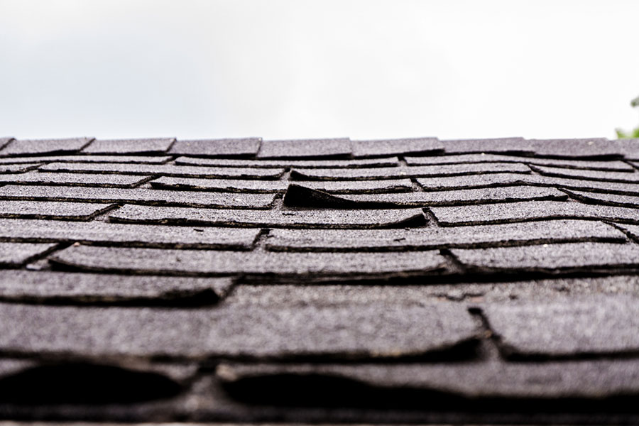 Close-up of a Michigan roof with dark shingles, some of which are curled and lifted, indicating possible damage or wear that may require roof replacement. The photo is taken from a low angle, focusing on the uneven shingles.
